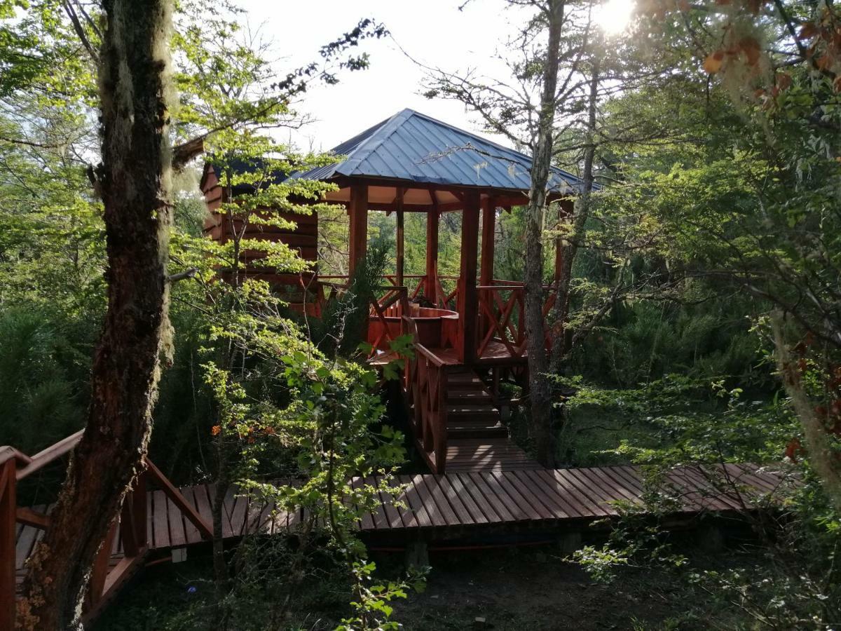 Parque Amavida Villa Malalcahuello Ngoại thất bức ảnh