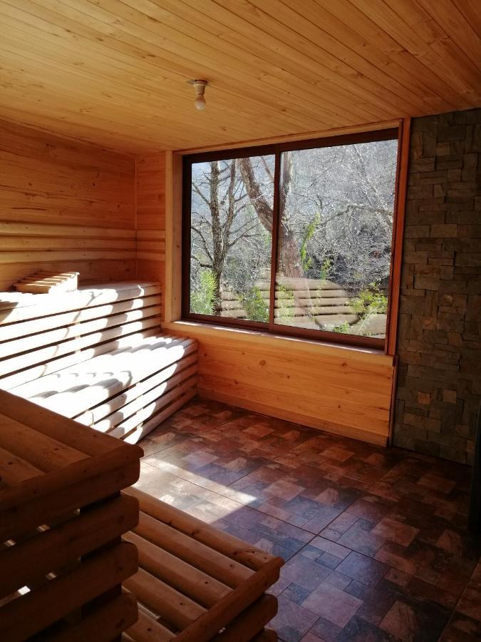 Parque Amavida Villa Malalcahuello Ngoại thất bức ảnh